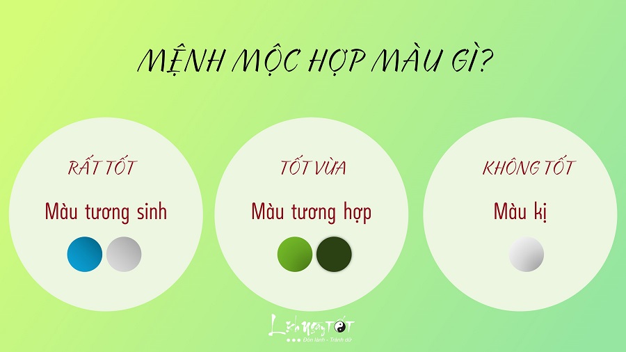 Mệnh Mộc hợp màu gì nhất, dùng màu sắc như thế nào để luôn gặp may mắn?